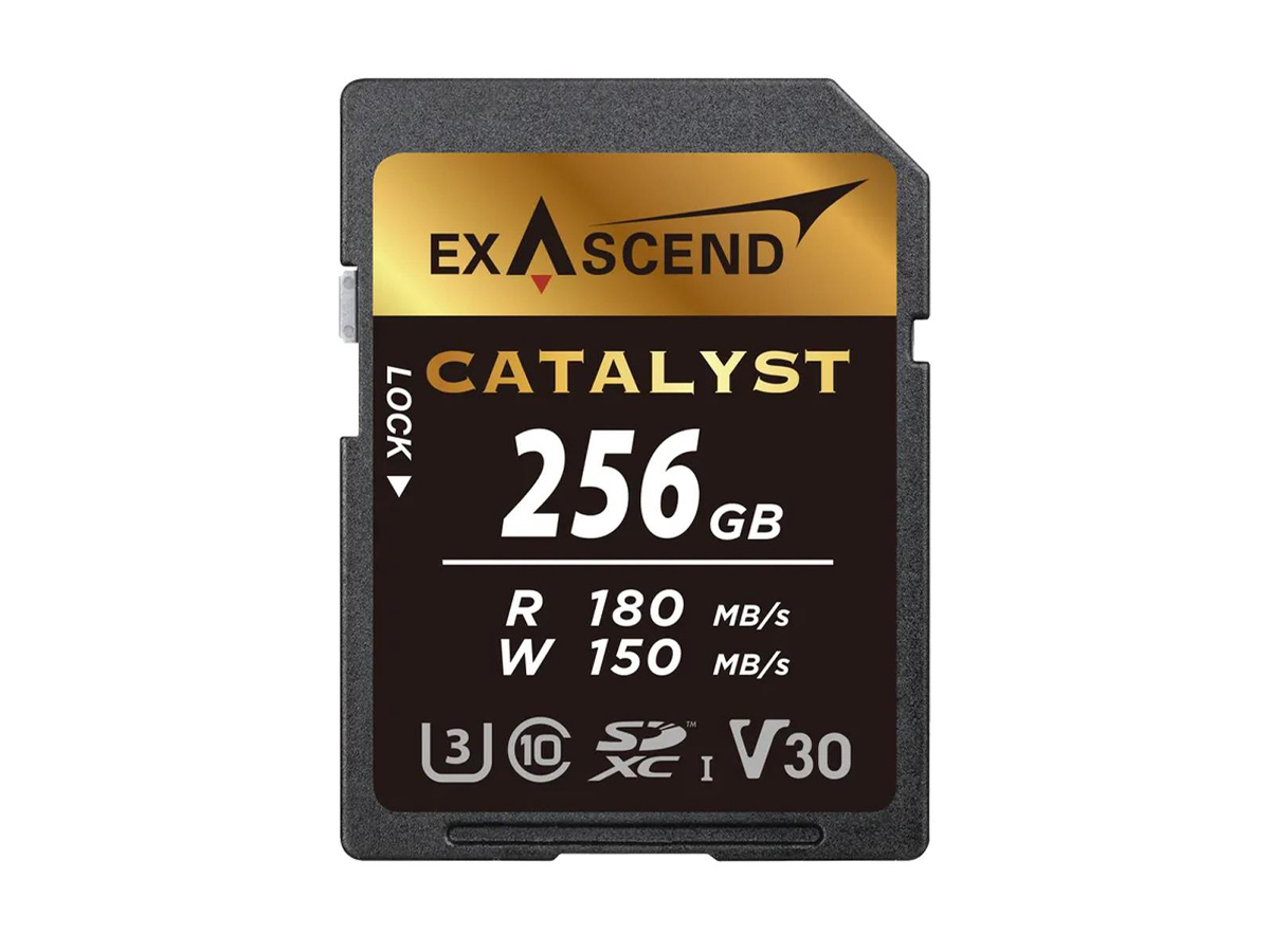 ExAscend 256GB SDXC Catalyst UHS-I V30 Speicherkarte