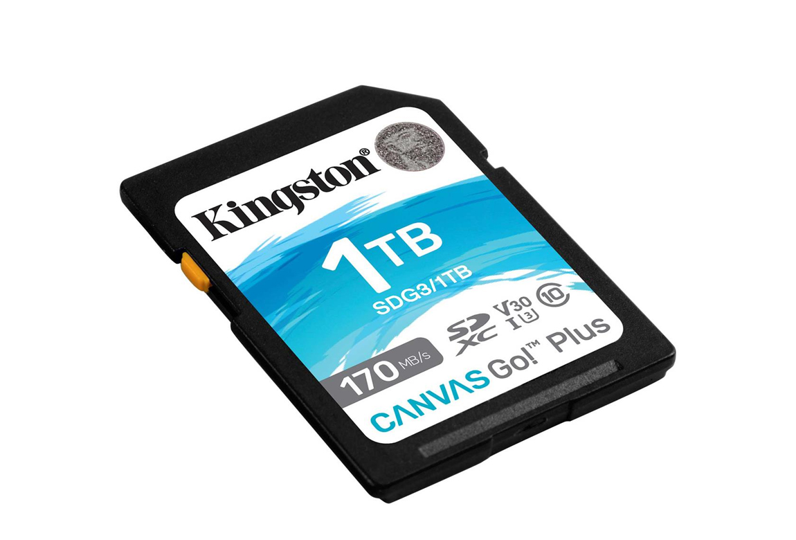 Kingston 1TB Canvas Go! Plus 170MB/90MB Speicherkarte